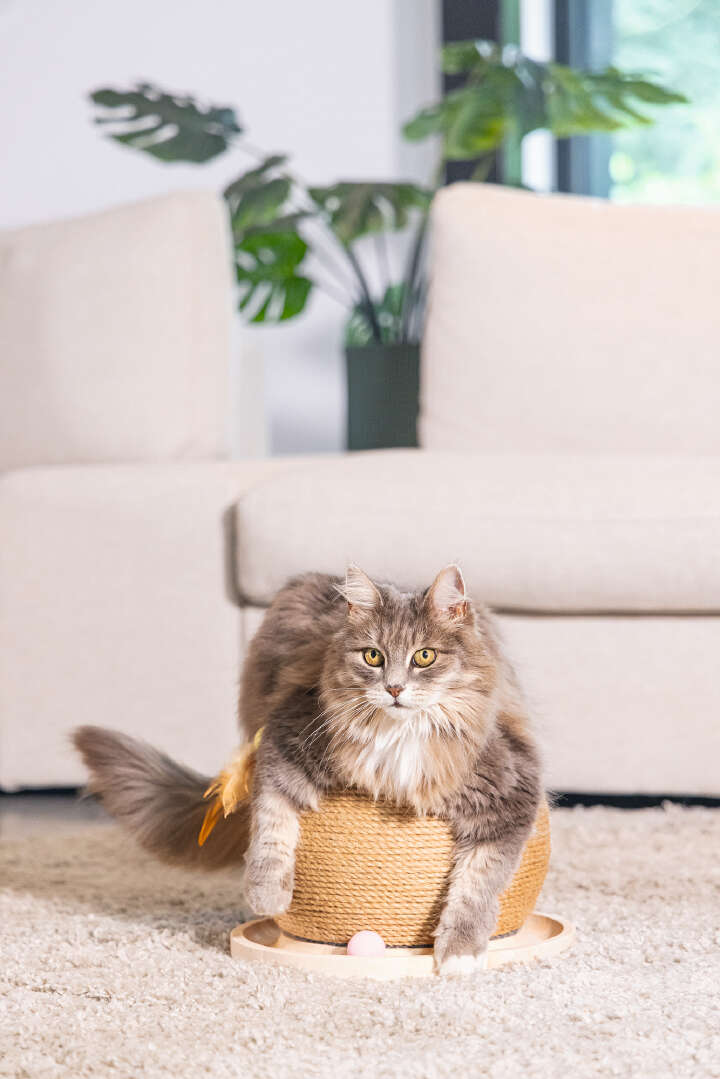 Designed by Lotte Kratz- und Spielball Mila